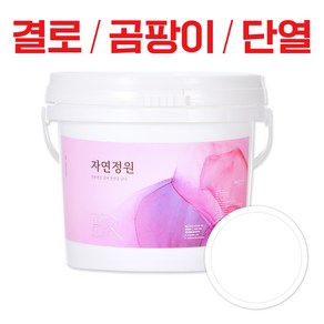 바르는 천연 단열 페인트 자연정원 항균 방수 곰팡이제거 결로방지, 화이트, 5kg, 1개