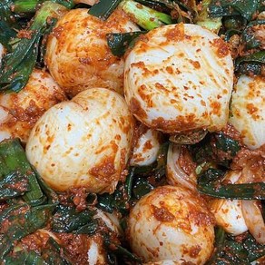 HACCP인증 100% 국내산 전라도 양파줄기김치 1kg 2kg, 1개