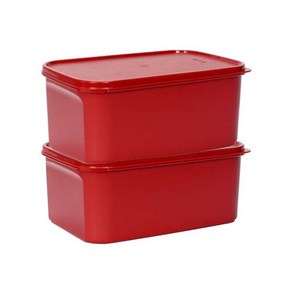 타파웨어 Tupperware 대용량 김치통 직사각 4.3L 6.5L