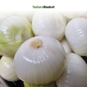 Natuebasket의 국산 깐양파 10키로(등급선택), 1개, 10kg, 중