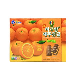 제주 코롬방 감귤초콜릿 30개입