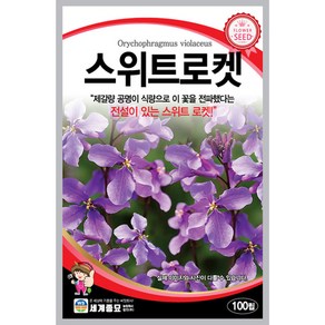 스위트로켓 100립 세계종묘 스위트로켓 꽃씨앗, 1개