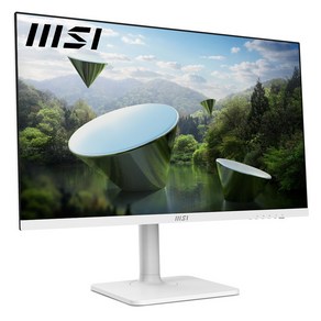 MSI 모던 MD272PW IPS 아이케어 PD65 무결점