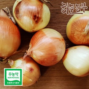 하늘농부 친환경 햇 양파 1kg 양파(소)3kg 양파(소)5kg, 1개