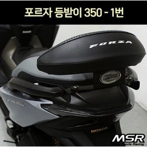 FORZA 포르자350 등받이-1 P7287