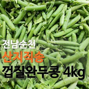 [싱그런날] 전남 순천 국내산 햇 껍질완두콩 산지직송 당일수확 식당 대량주문, 1박스, 4kg