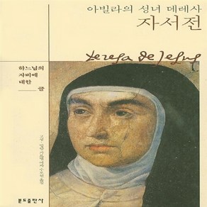 NSB9788941915171 새책-스테이책터 [아빌라의 성녀 데레사 자서전]-하느님의 자비에 대한 글-분도출판사-아빌라의 지음 고성.밀, 아빌라의 성녀 데레사 자서전