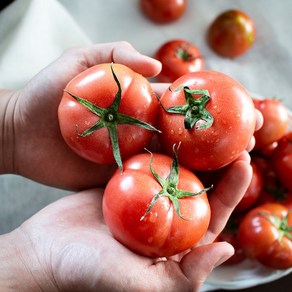 꿈꾸는농부 최상품 완숙 토마토, 1개, 완숙토마토 2.5kg 4-5번과(중소과)