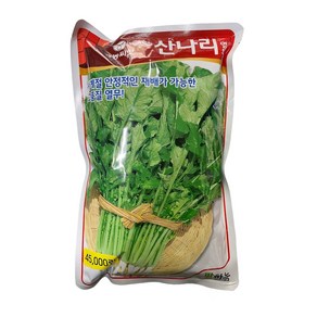 산나리열무 씨앗 45000립 [25년포장] 대용량 열무 종자