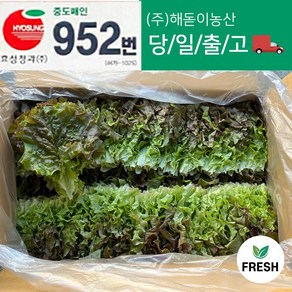 <해돋이농산> 꽃상추 2kg내외 4kg내외(상)