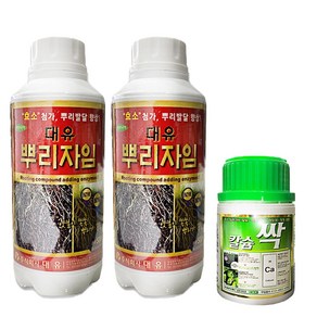 비료컴퍼니 뿌리발근제500ml(2병) + 칼슘싹200ml(증정) 뿌리 발근 비료 활착 뿌리자임 대유 복합비료 칼슘영양제 마늘 양파 배추 뿌리 발근제, 2개, 500ml