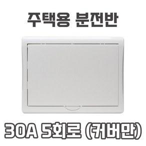 태성 주택용 가정용 분전반 두꺼비집 부스바 5회로 30A, 1개