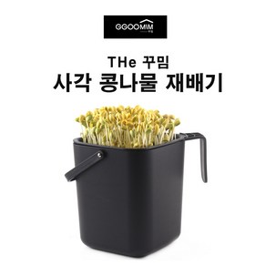 꾸밈 사각 콩나물 재배기 + 노란 콩나물 콩 세트, 1세트