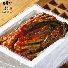 손품정 진짜 전라도 돌산 갓김치 국내산, 1개, 10kg