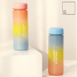 아트박스/비프로젝트 BULKUCK 트라이탄 레인보우 보틀 500ml 2종 택1, 블루, 1개