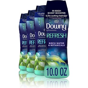 Downy Infusions In-Wash Scent Booste Beads Refesh Bi 다우니 인퓨전 워시 향 부스터 비즈 리프레시 자작나무 물 및 식물 10온, 1개, 283g