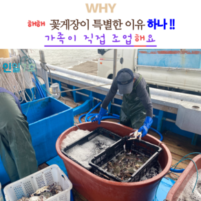 해해 간장게장 3kg 암꽃게 4~5미 연평도 알베기, 1개