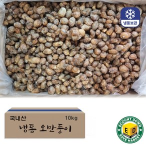 냉동 오만둥이 미더덕 오만디 10kg 벌크 한박스, A급 10KG 벌크, 1개, A급 10KG 벌크