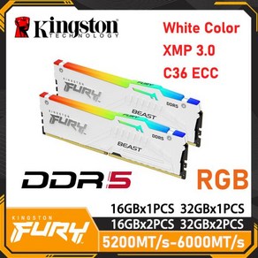 Kingston Fuy Beats DDR5 메모리 16G 32G 64G 데스크탑 RAM 게임용 흰색 RGB 5200MHz 5600MHz 6000MHz 288, 01 1GB, 1개