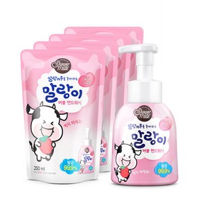 말랑이 핸드워시 딸기향 용기300ml 1개+리필250ml 4개, 1개