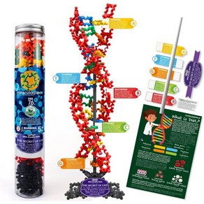 moleculapiece 분자 구조 모형 과학 분자구조 DNA 이중나선 모형76개입 4D STEM 교육용 조립 세트 학교용 창의과학 프로젝트 활동 재미있는 방법으로 생물학 화