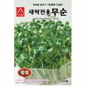 아시아종묘 씨앗 새싹 무순 1kg, 1개