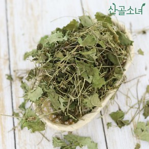 산골소녀 국내산 건조 금전초 병풀 긴병꽃풀, 300g, 300g, 1개