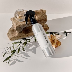 메르디센트 무드 퍼퓸 바디스프레이, 1개, 퓨어소프&대, 300ml