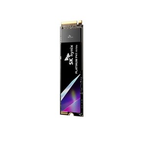 SK하이닉스 Platinum P41 NVMe SSD 500GB 공식판매점