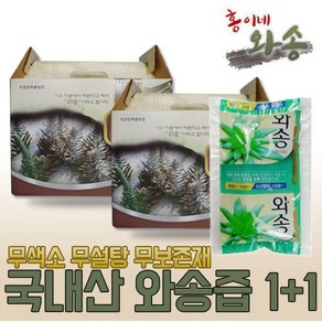 1+1 홍이네 와송즙 국내산 부모님선물 면연력 증가, 2개, 5kg, 5L