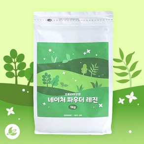 오로라 네이처 파우더 레진 아트 공예 재료 1kg R002, 단품, 1개