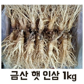 실속형 5년근 가정용인삼 1kg (16-20뿌리) 무료세척, 세척원해요(O), 1개