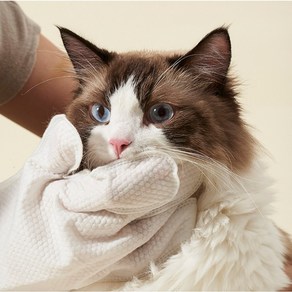 시카 고양이 강아지 목욕 샤워글러브 2매 펫티슈 강아지 고양이 물티슈 목욕장갑 애견목욕 반려동물 고양이 강아지 샤워 티슈 드라이샤워