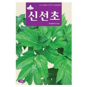 신선초씨앗 신선초씨 100립, 3개