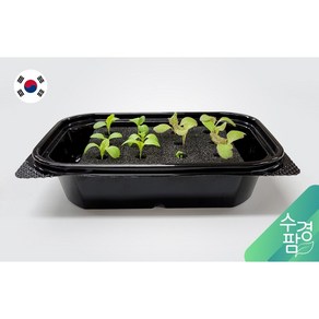 수경팜 발아케이스 키트 수경재배기 가정용 식물재배기 스마트팜 3단2단1단 단수조절 헌팅에스앤디, 1개