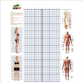 체형분석스크린 자세교정스크린 헬스장 측정 격자 표
