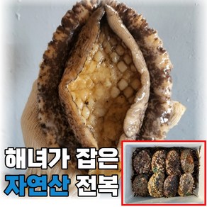 산지직송 국산 통영 자연산 전복 활전복 1kg 해녀가 직접 잡은 대 특대 왕특대 스페셜 어버이날 부모님 선물세트, 4_2. 대왕특대 전복 1kg(4미), 1개