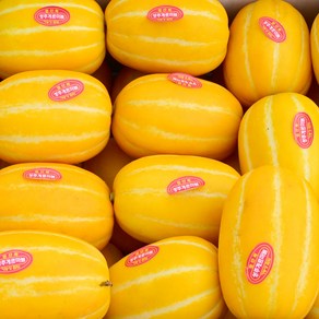 당일수확 성주 참외 가정용 꿀참외, 1개, 5kg 혼합과