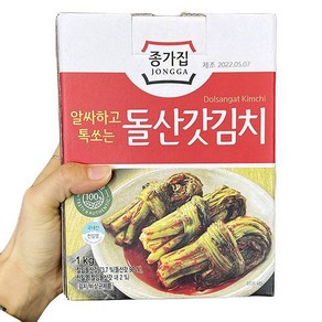 종가집 일반포장 종가집 돌산 갓김치 1kg, 1개