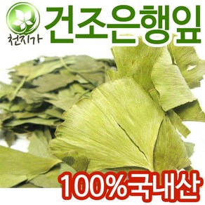 국산 은행잎 300g 건조은행잎, 1개