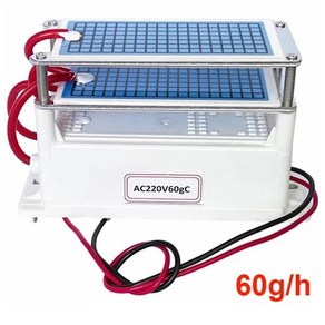 220V 60 g/h 공기 청정기 오존 발생기 110V 휴대용 홈 O3 기계 긴 수명, 01 220V 10g, 1.220V 10g