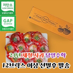 [고당도 당도선별] 껍질째 먹는 경북 홍로 씻은사과 2kg 3kg 5kg 세척사과 소과 중과 대과, 1개, 5kg 중과 (20-25입)