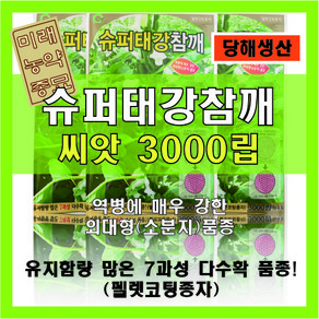 <미래농약종묘>참깨 씨앗모음 (3000립)- 슈퍼태강/슈퍼안산 참깨 선택가능, 슈퍼태강참깨(3천립), 1개