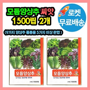 모듬양상추 씨앗 (합 3000립) 9가지 양상추 품종을 5가지 이상 혼합, 2개