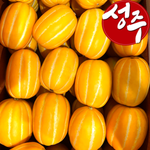 고당도 성주 꿀 참외 가정용 미니 소과, 1박스, 꼬마소과 2kg (7~18과)