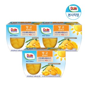 Dole 후룻볼 망고 113g x 12개입 과일 통조림, 12개