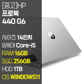 HP 프로북 440 G6 14인치 8세대 인텔코어 i5 RAM 16GB SSD + HDD 윈도우11 중고 사무용 노트북 가방증정, WIN11 Po, 1256GB, 실버