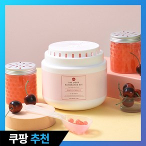 BAS 특대형 실내 탈 취제 빅 (3가지향)_소분용기 포함, 1.1kg, 1개, 블랙체리