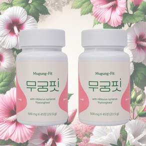 공식 무궁핏, 2개, 22.5g