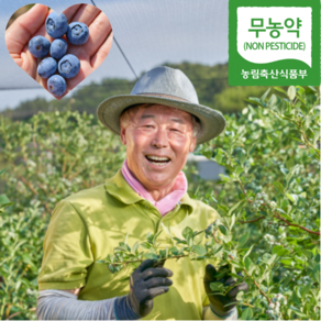 후루츠민 냉동 블루베리 국산 과일 친환경 노지 무농약, 1개, 1kg